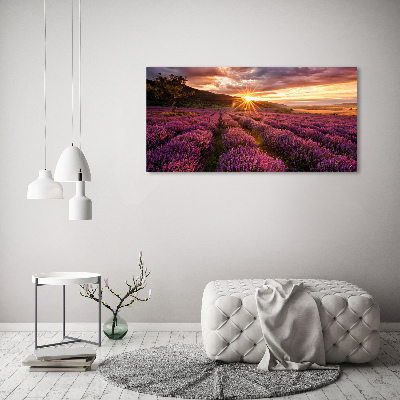 Cuadro acrílico horizontal campo de lavanda