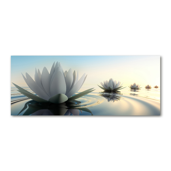 Cuadro metacrilato horizontal flor de loto