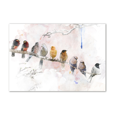Cuadro metacrilato horizontal Pájaros en una rama