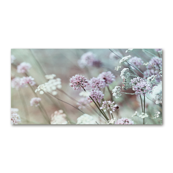 Cuadro metacrilato horizontal flores silvestres