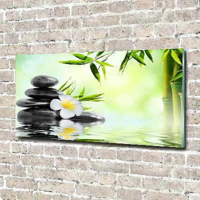 Foto obraz szkło akryl Plumeria i bambus