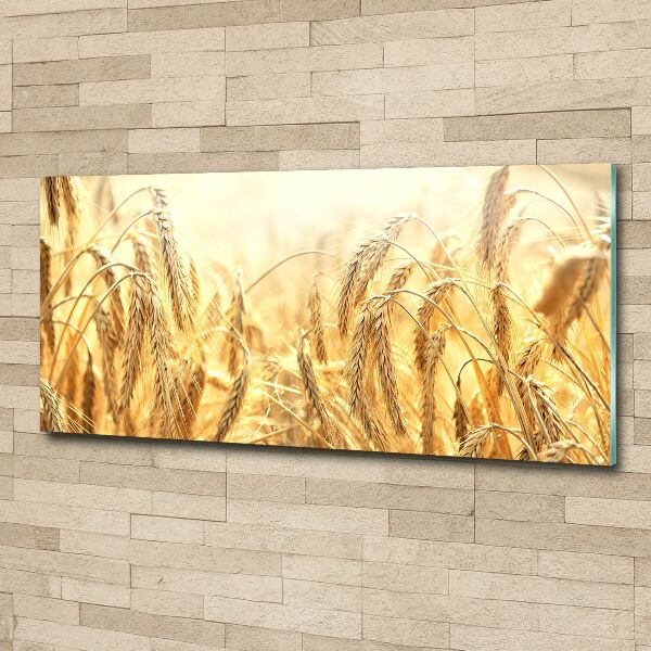 Pintura en acrílico horizontal Cereal