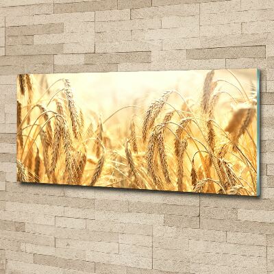 Pintura en acrílico horizontal Cereal