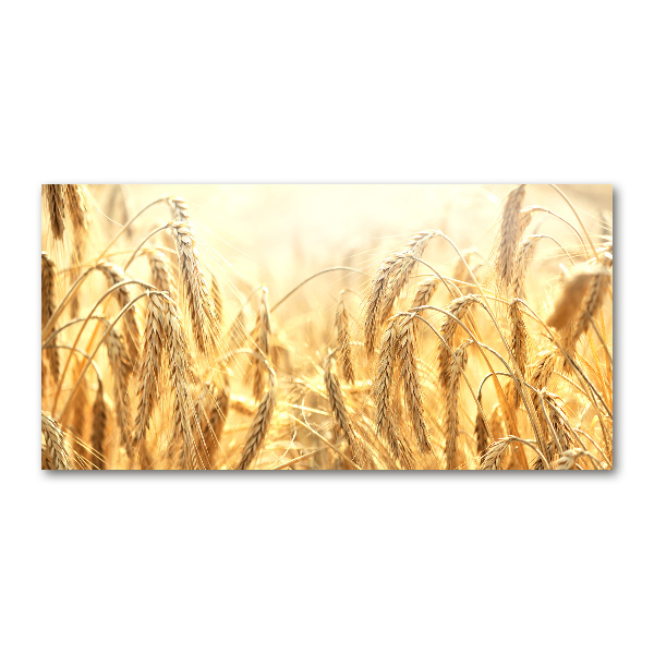 Pintura en acrílico horizontal Cereal
