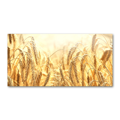 Pintura en acrílico horizontal Cereal