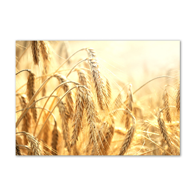 Pintura en acrílico horizontal Cereal