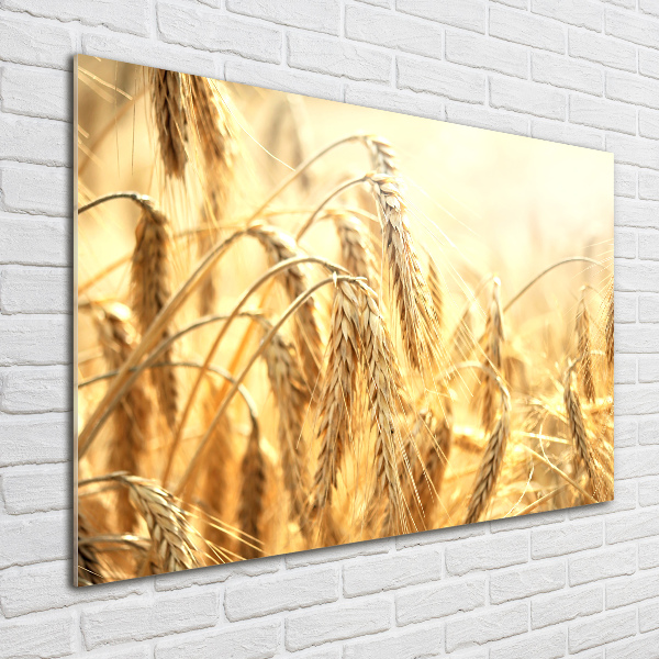 Pintura en acrílico horizontal Cereal