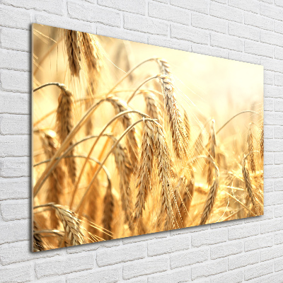 Pintura en acrílico horizontal Cereal