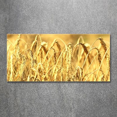 Cuadro metacrilato horizontal Cereal