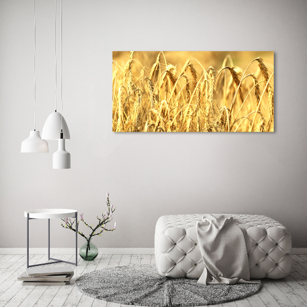 Cuadro metacrilato horizontal Cereal