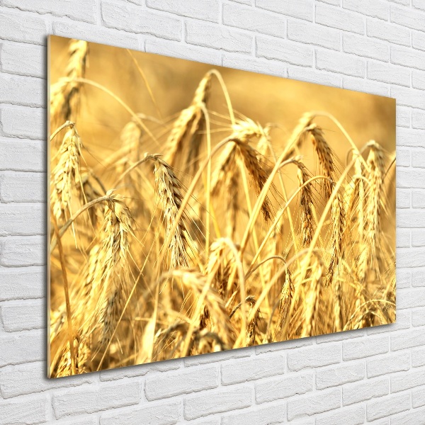 Cuadro metacrilato horizontal Cereal