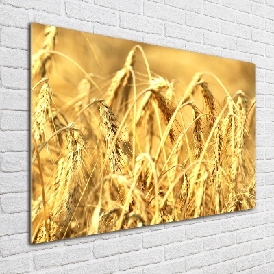 Cuadro metacrilato horizontal Cereal
