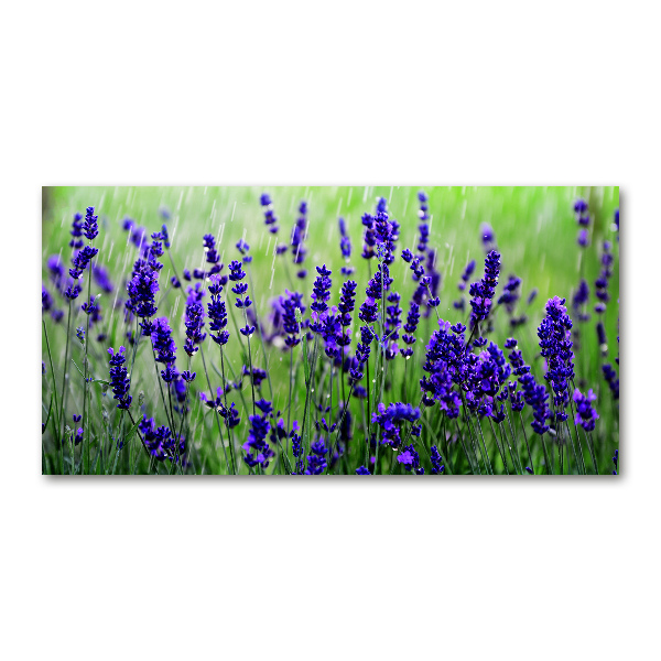 Cuadro acrílico horizontal Lavanda