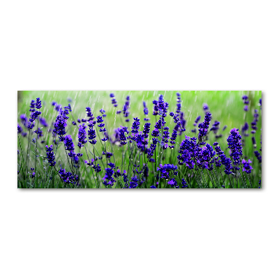 Cuadro acrílico horizontal Lavanda