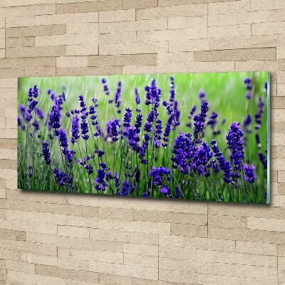 Cuadro acrílico horizontal Lavanda