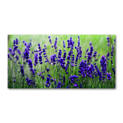 Cuadro acrílico horizontal Lavanda
