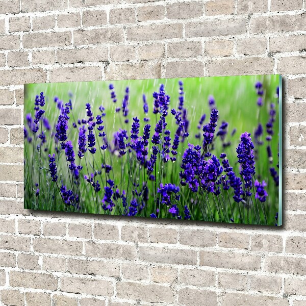 Cuadro acrílico horizontal Lavanda