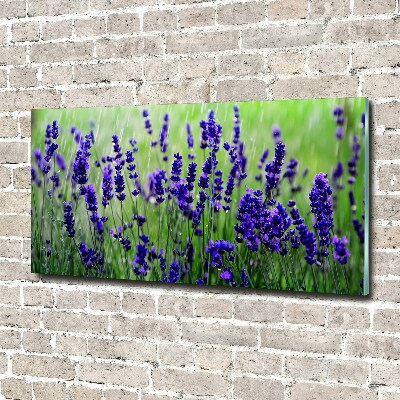 Cuadro acrílico horizontal Lavanda