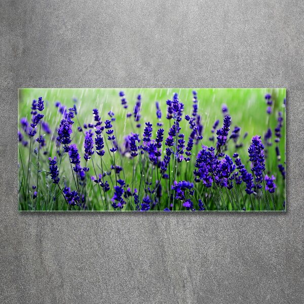 Cuadro acrílico horizontal Lavanda