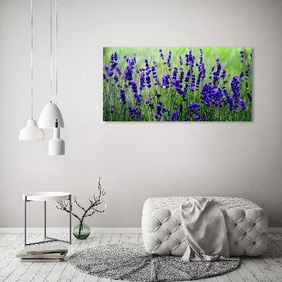 Cuadro acrílico horizontal Lavanda