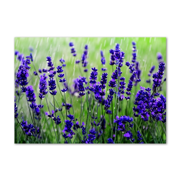 Cuadro acrílico horizontal Lavanda