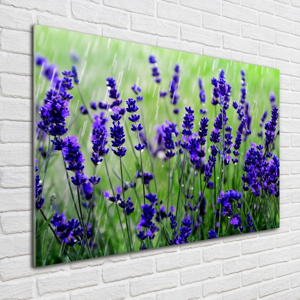 Cuadro acrílico horizontal Lavanda