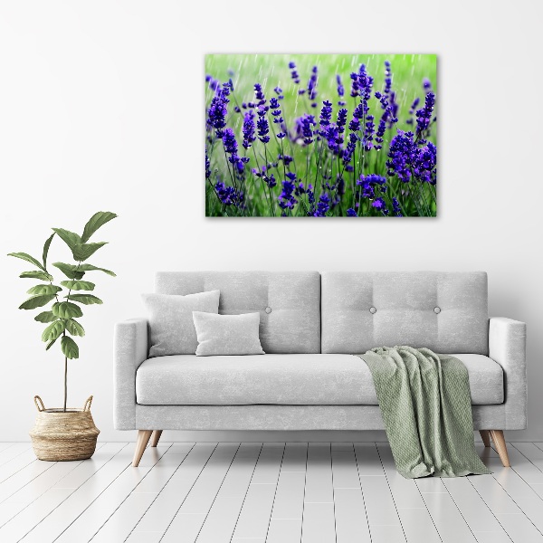 Cuadro acrílico horizontal Lavanda