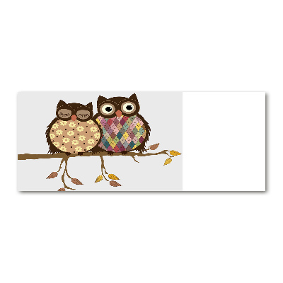 Cuadro acrílico horizontal Dos búhos en una rama