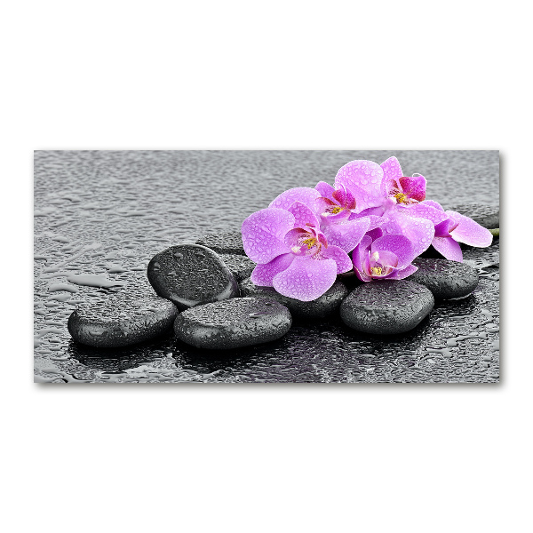 Cuadro metacrilato horizontal Piedras de orquídea