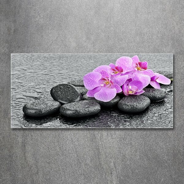 Cuadro metacrilato horizontal Piedras de orquídea
