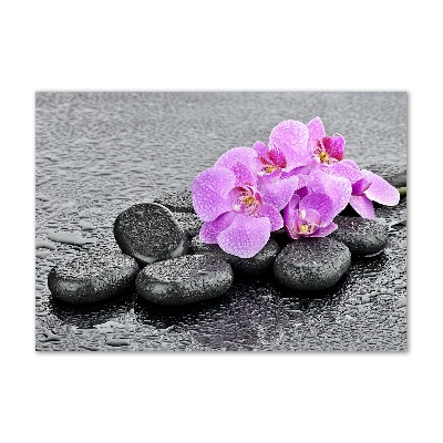 Cuadro metacrilato horizontal Piedras de orquídea
