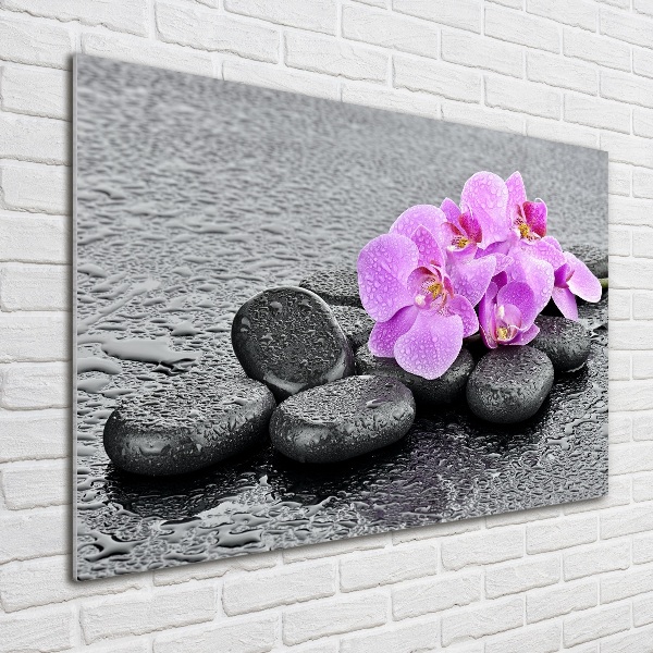 Cuadro metacrilato horizontal Piedras de orquídea