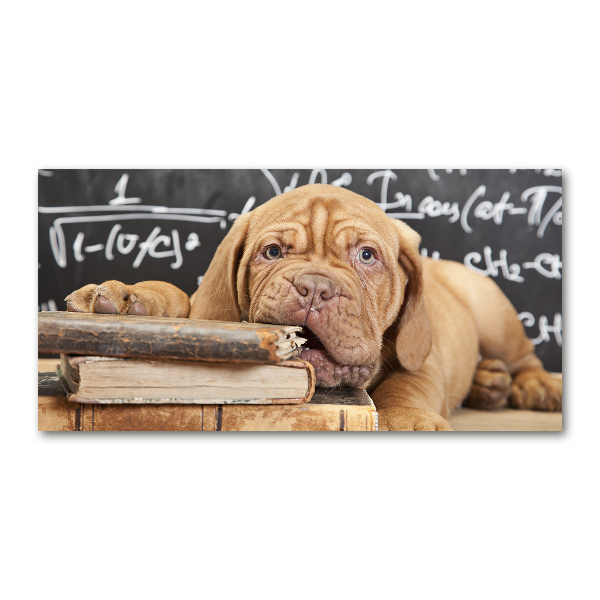Cuadro metacrilato horizontal El perro está mordiendo el libro.