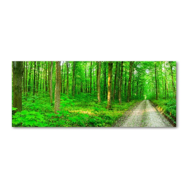 Pintura en acrílico horizontal Árboles en el bosque