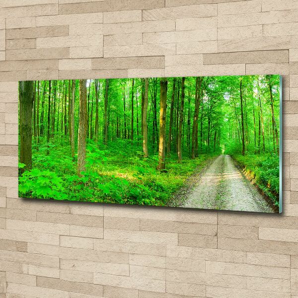 Pintura en acrílico horizontal Árboles en el bosque