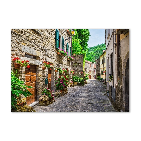 Cuadro acrílico horizontal Una calle con encanto