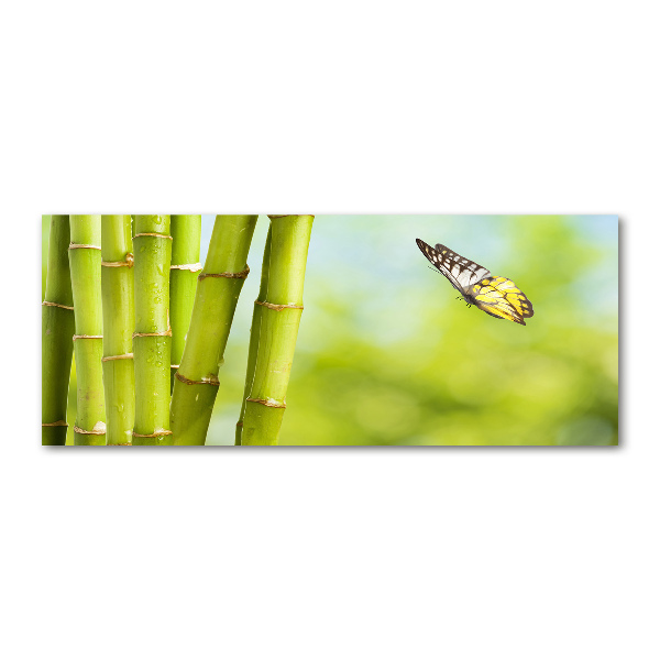 Cuadro metacrilato horizontal Bambú y mariposa