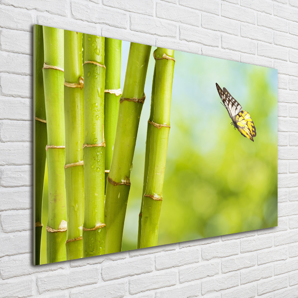 Cuadro metacrilato horizontal Bambú y mariposa