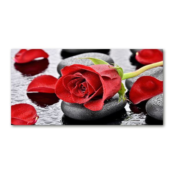 Foto en metacrilato horizontal Rosa roja
