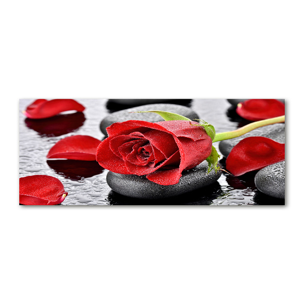 Foto en metacrilato horizontal Rosa roja