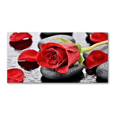 Foto en metacrilato horizontal Rosa roja