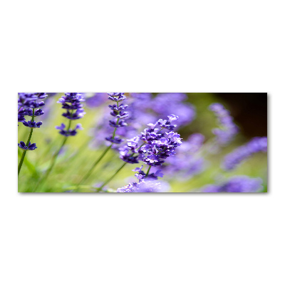 Cuadro metacrilato horizontal Lavanda