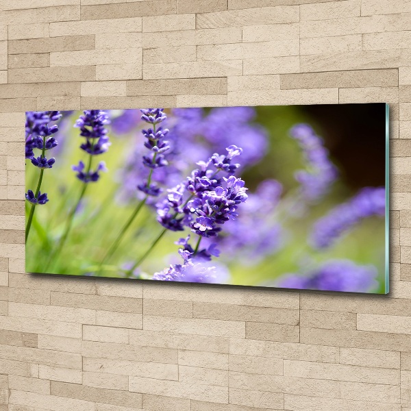Cuadro metacrilato horizontal Lavanda