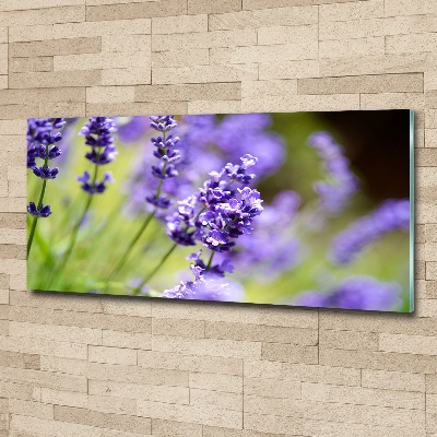 Cuadro metacrilato horizontal Lavanda