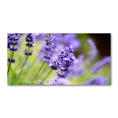 Cuadro metacrilato horizontal Lavanda