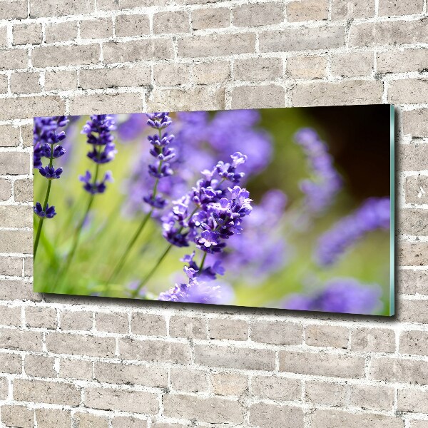 Cuadro metacrilato horizontal Lavanda
