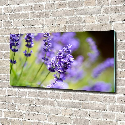 Cuadro metacrilato horizontal Lavanda