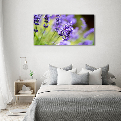 Cuadro metacrilato horizontal Lavanda