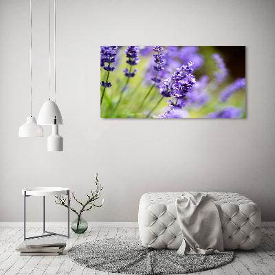 Cuadro metacrilato horizontal Lavanda