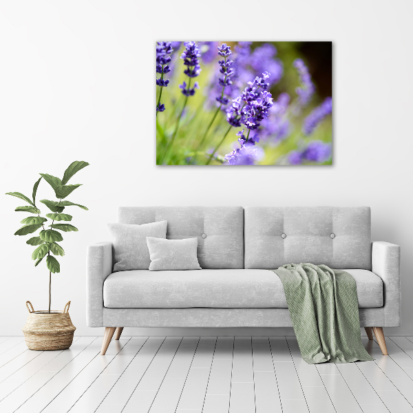 Cuadro metacrilato horizontal Lavanda